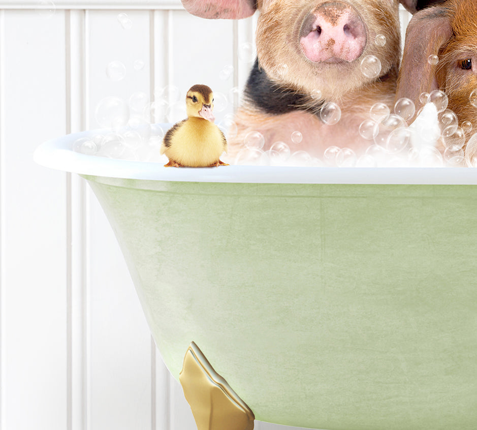 two dogs and a rubber duck in a bathtub