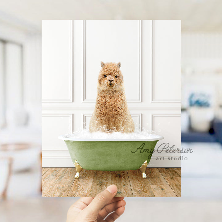 a hand holding a card with a dog in a bathtub