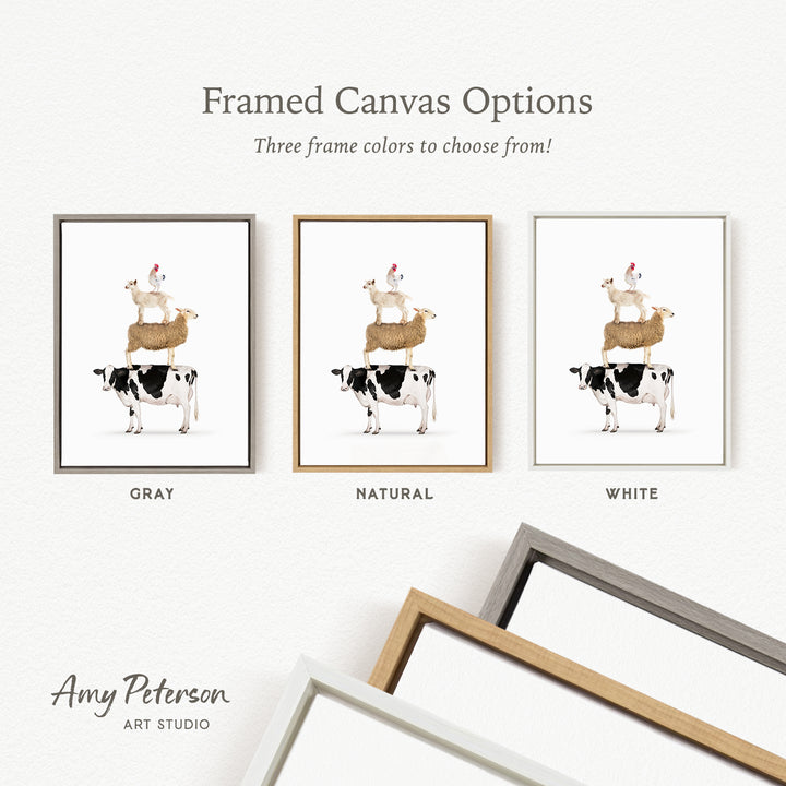 three framed canvas options, each featuring a different color: gray, natural, and white. The text above the images reads " Framed Canvas Options" and "Three frame colors to choose from!". The text below the images reads "Grays", "NATURAL", and "WHITE". The artist's name, Amy Peterson, is also mentioned at the bottom of the image.