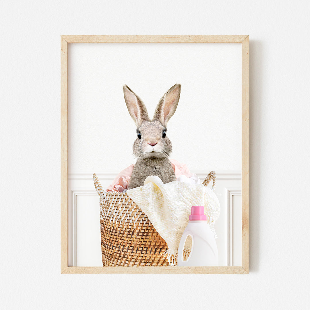 a picture of a rabbit sitting in a basket