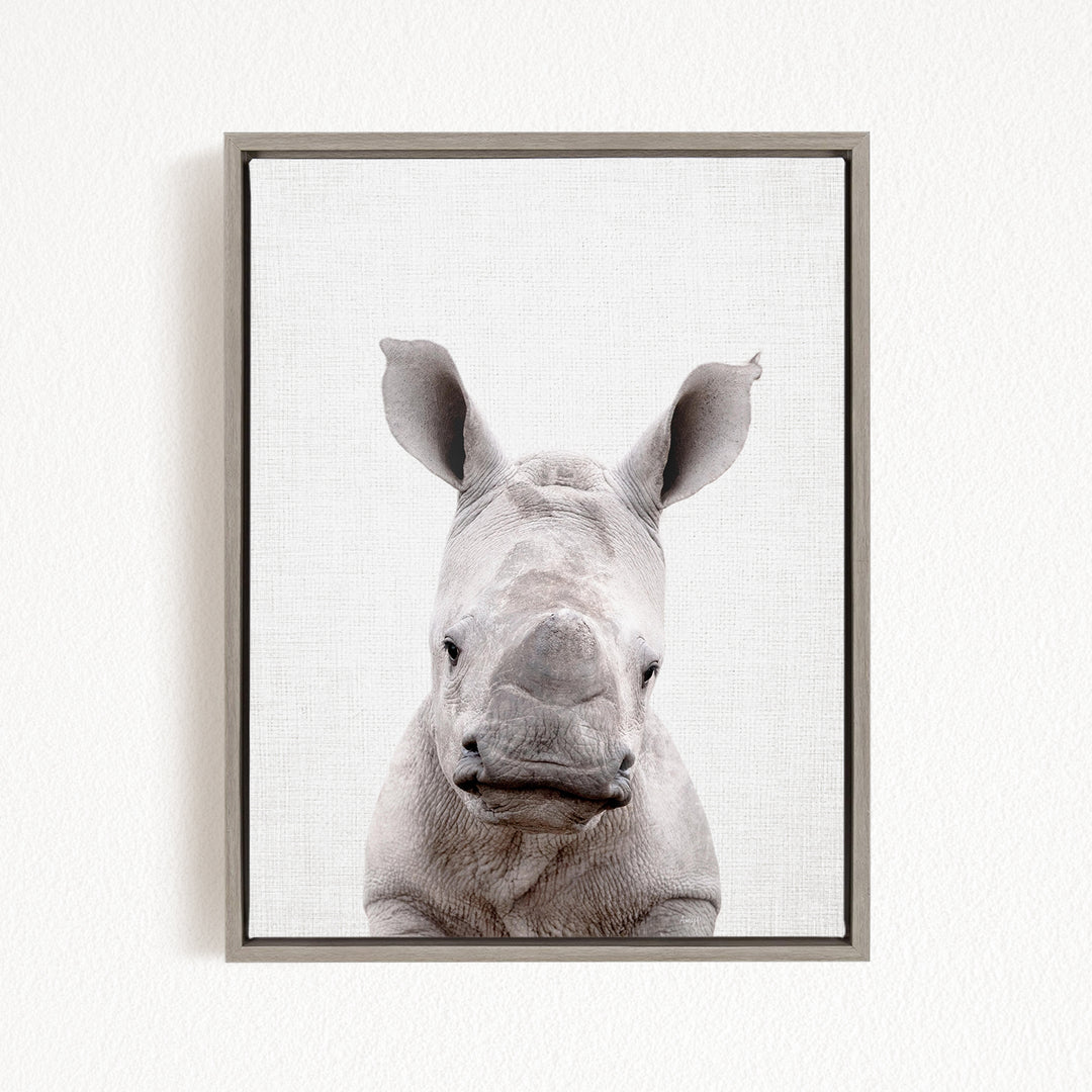 A close-up portrait of a rhinoceros, with its distinctive horn-like features prominently displayed against a plain white background.