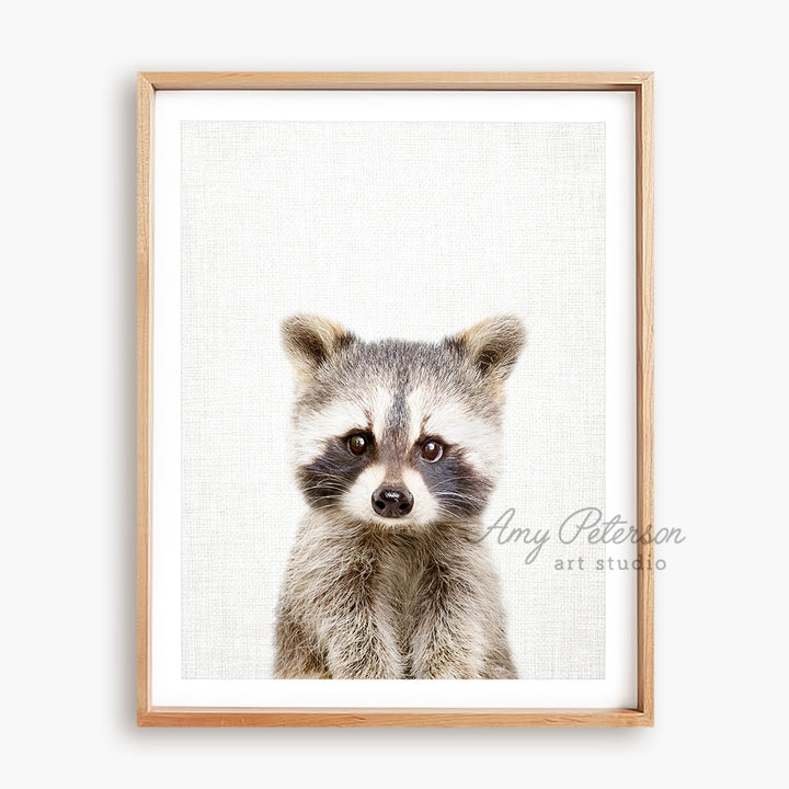 a picture of a raccoon in a frame