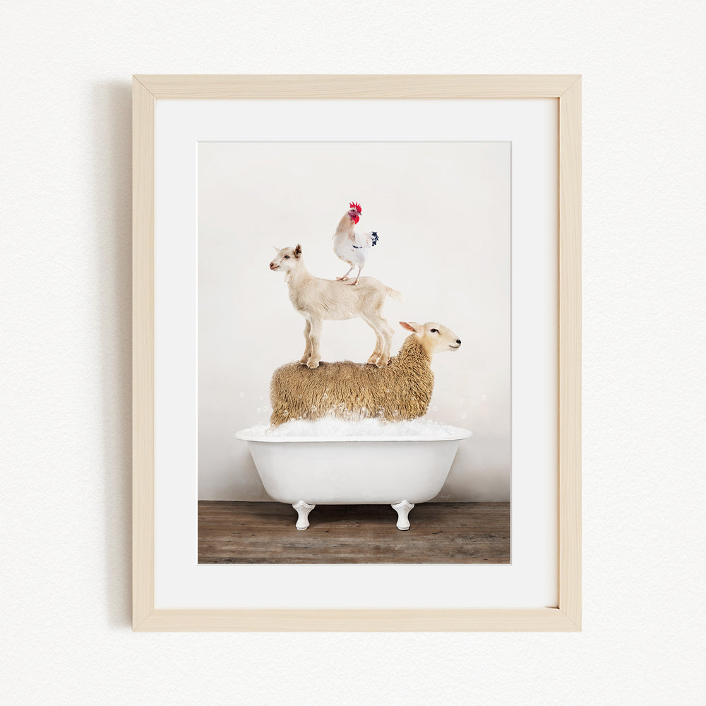 A framed image depicting a goat standing on a sheep's back while a rooster stands on top of a lamb in a bathtub.