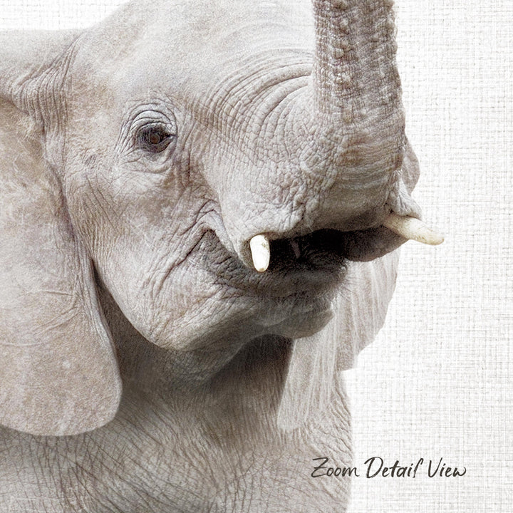 A close-up of an elephant's face, showing its large tusks and wrinkled skin.