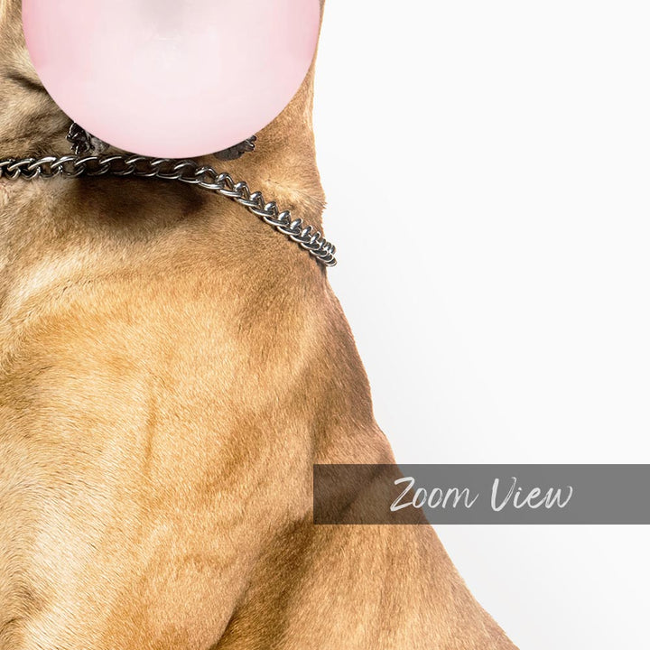 a dog with a pink ball in its mouth