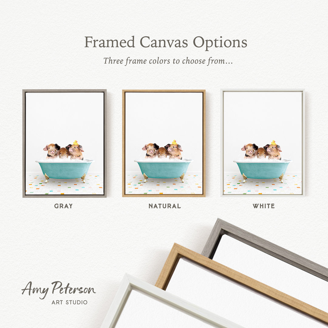 three framed canvas options, each featuring a different color: gray, natural, and white. The text above the images reads " framed Canvas Options" and "Three frame colors to choose from...". The bottom of the image includes the text " Amy Peterson ART STUDIO".