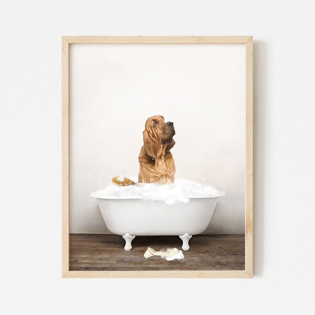 a dog sitting in a bathtub full of foam