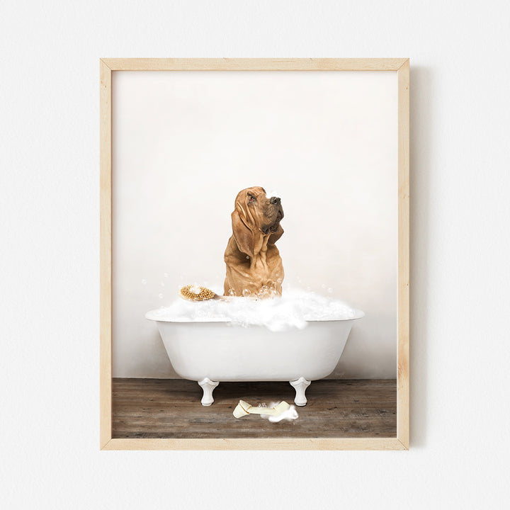 a dog sitting in a bathtub full of foam