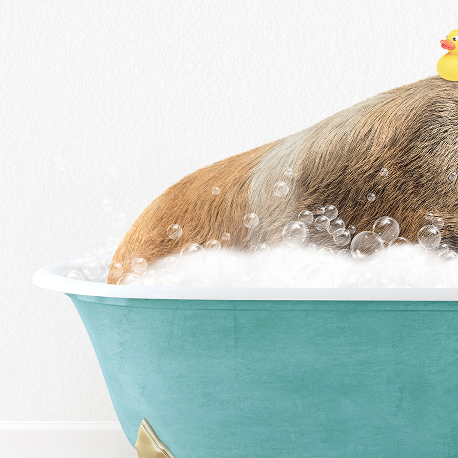 a dog in a bathtub with bubbles and a rubber duck