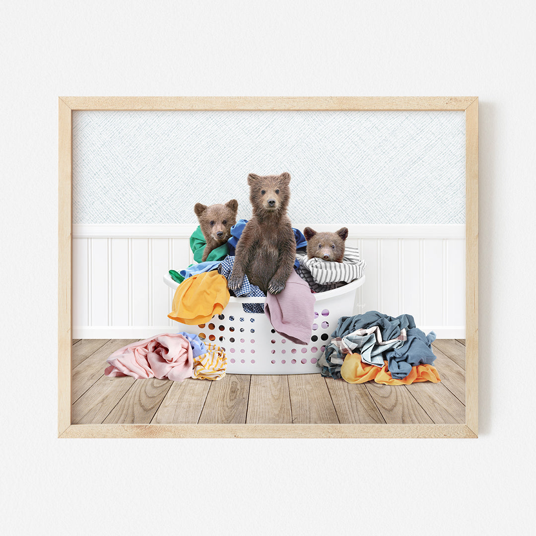 a picture of three bears in a laundry basket