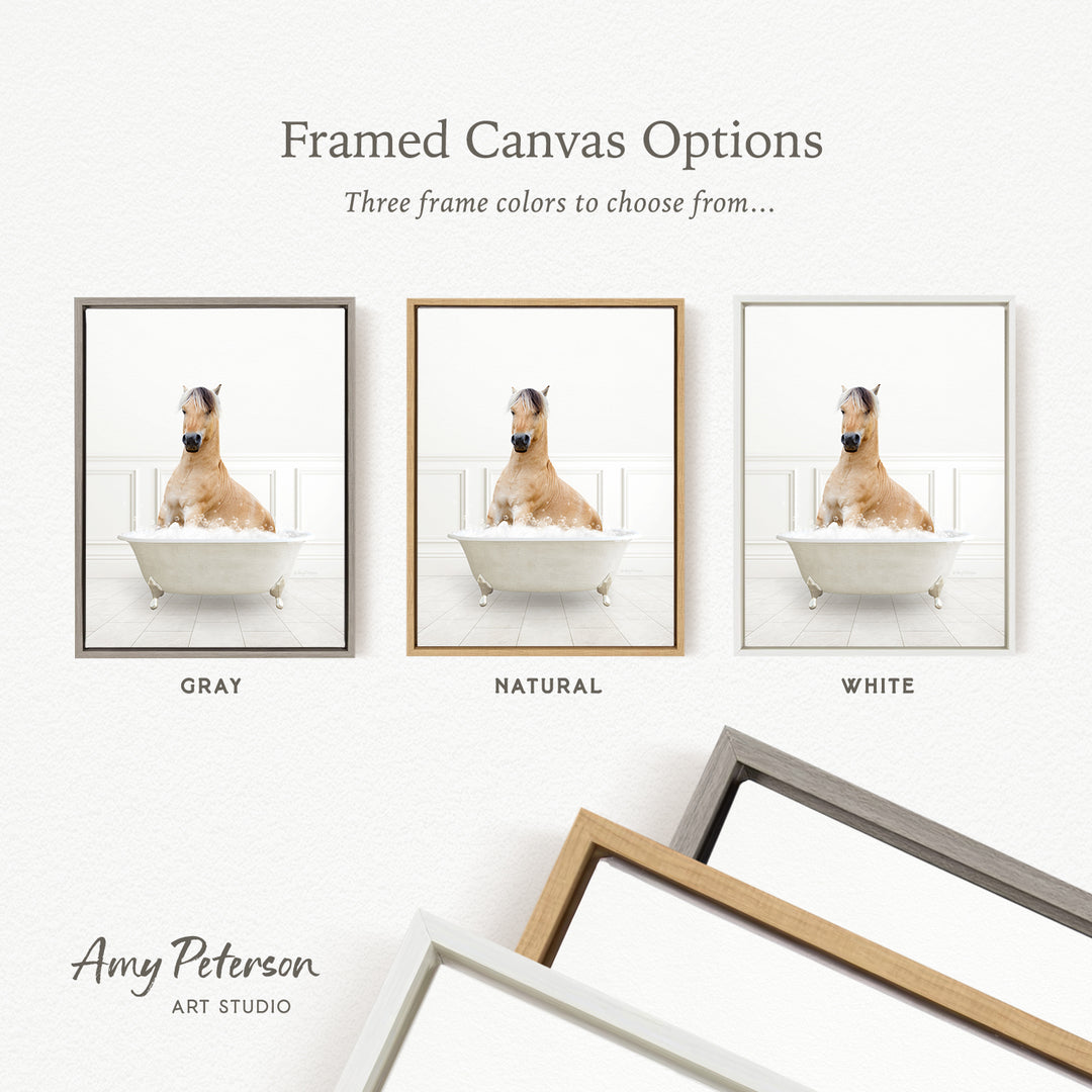 three framed canvas options, each featuring a photograph of a dog sitting in a bathtub. The options include a gray frame, a natural frame, and a white frame. The text above the images reads " framed Canvas Options" and "Three frame colors to choose from...". The bottom of the image includes the text " Amy Peterson ART STUDIO".