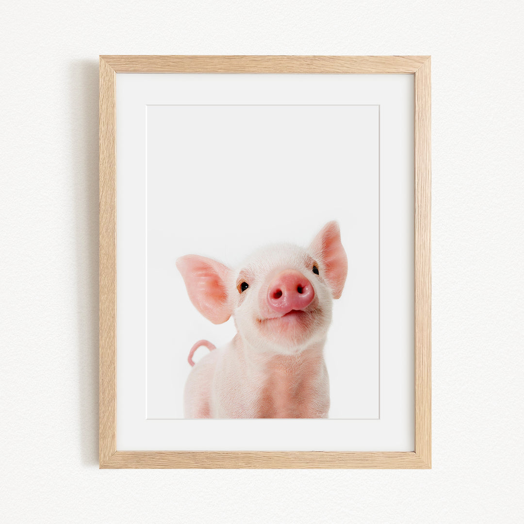 A cute, pink pig with large ears and a pink nose is the main subject of the framed image.