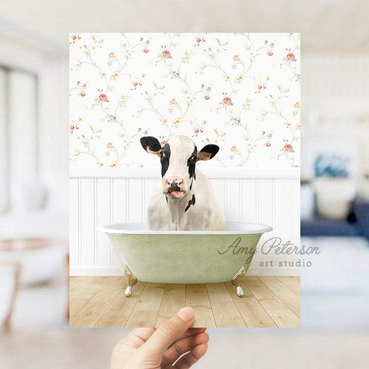 a hand holding a photo of a cow in a bathtub