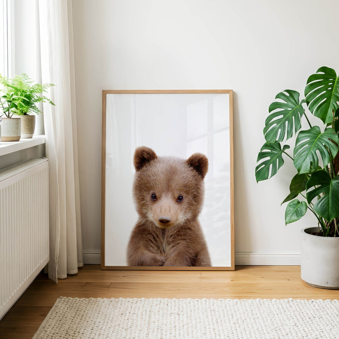 a brown bear in a framed photograph, which is displayed on a wall in a room with a window, a plant, and a rug.