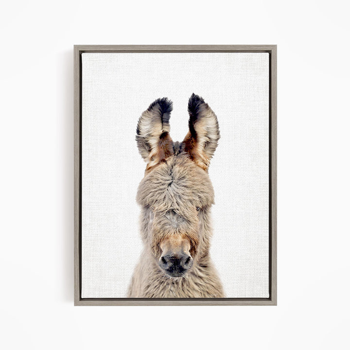 A close-up portrait of a donkey with its head turned to the side, revealing its large ears and a distinctive nose.