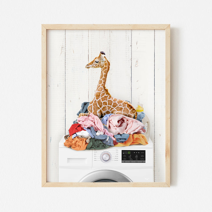 a picture of a giraffe sitting on top of a washing machine