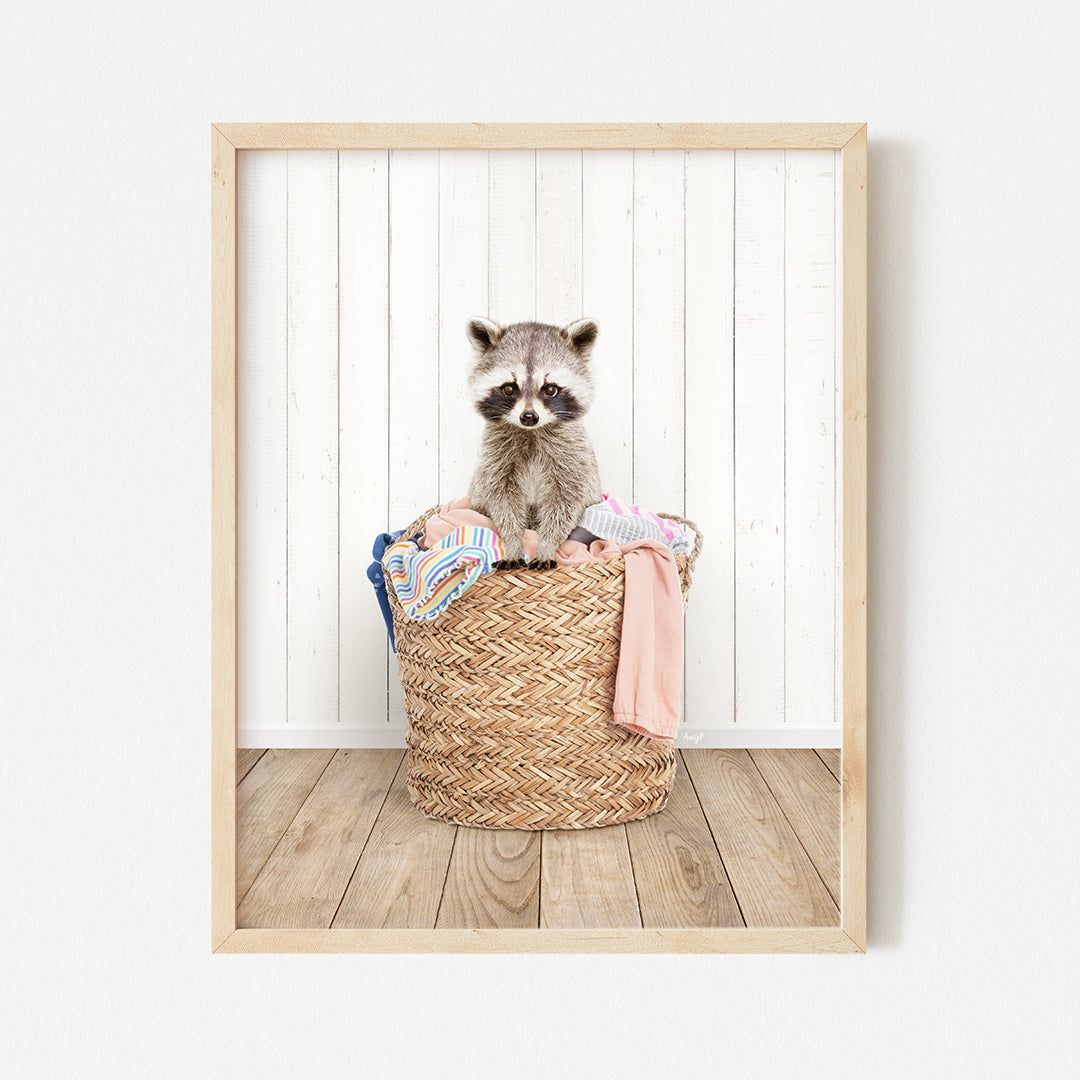 a raccoon is sitting in a basket with clothes