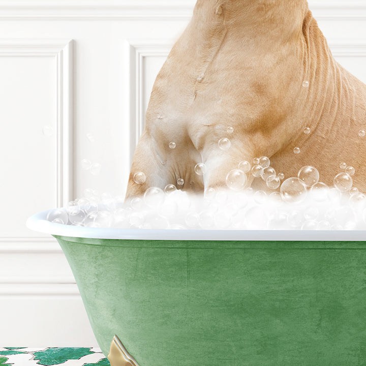 a dog sitting in a bathtub full of bubbles