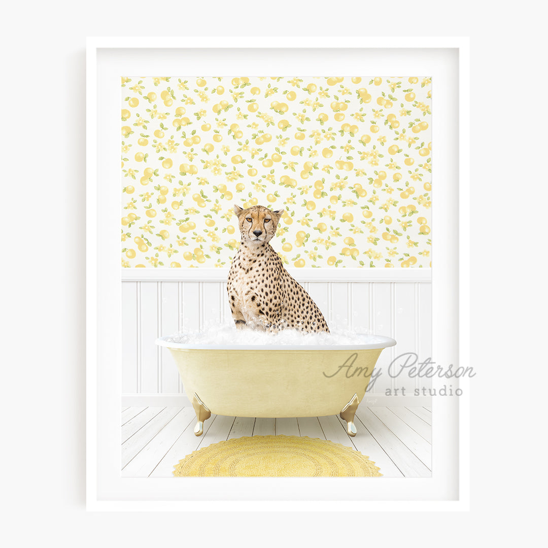 a picture of a cheetah sitting in a bathtub