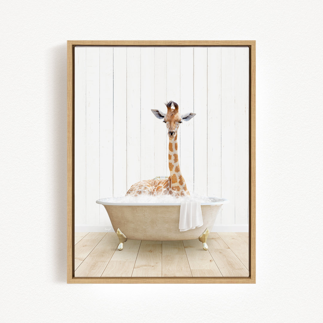 A giraffe sitting in a bathtub filled with water, with a towel draped over its head.