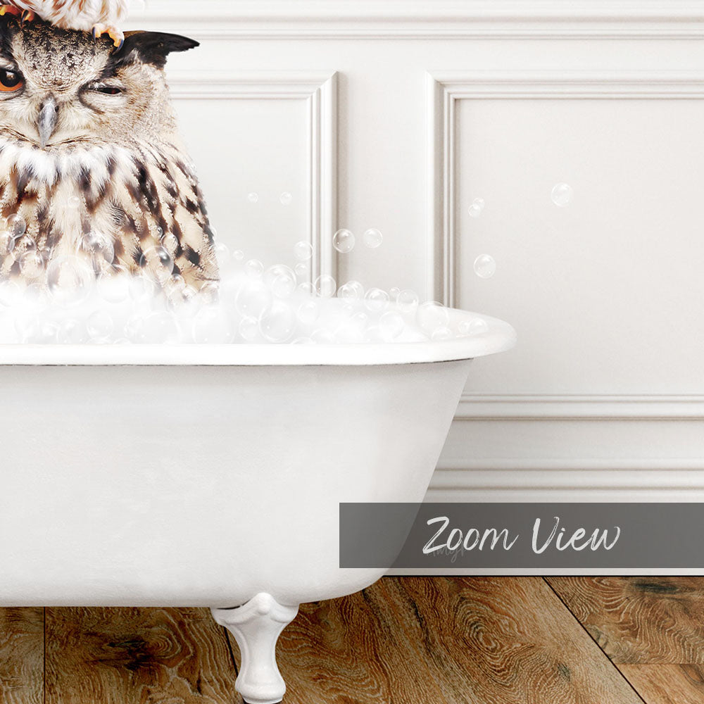 A close-up image of an owl sitting in a bathtub filled with bubbles, with the text "Zoom View" below the image.