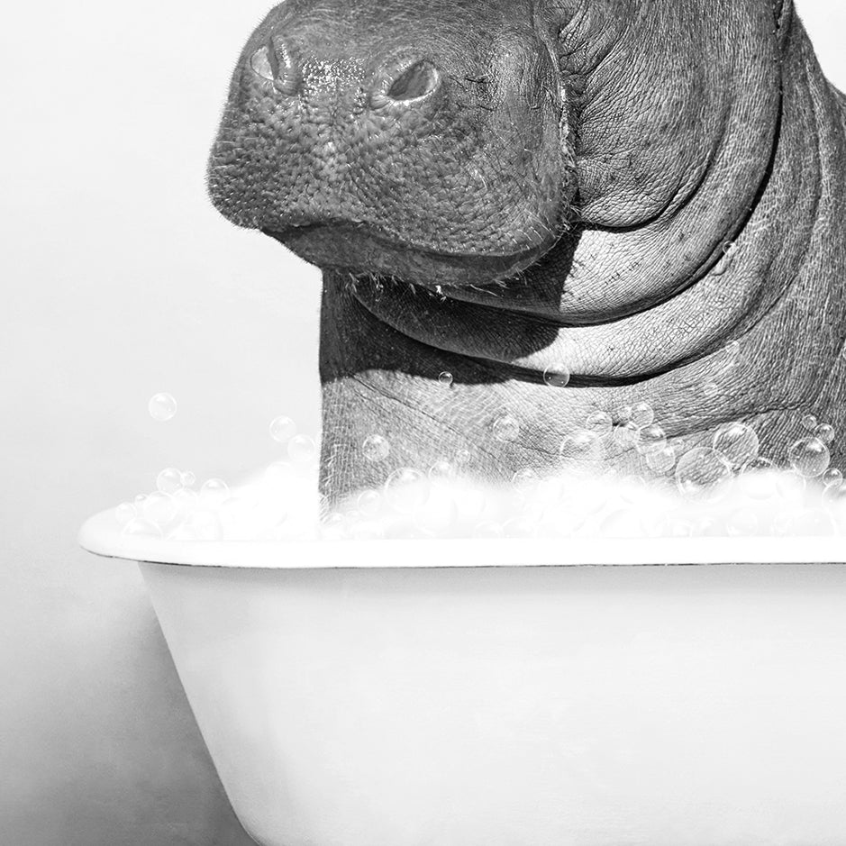 a hippopotamus in a bathtub with bubbles