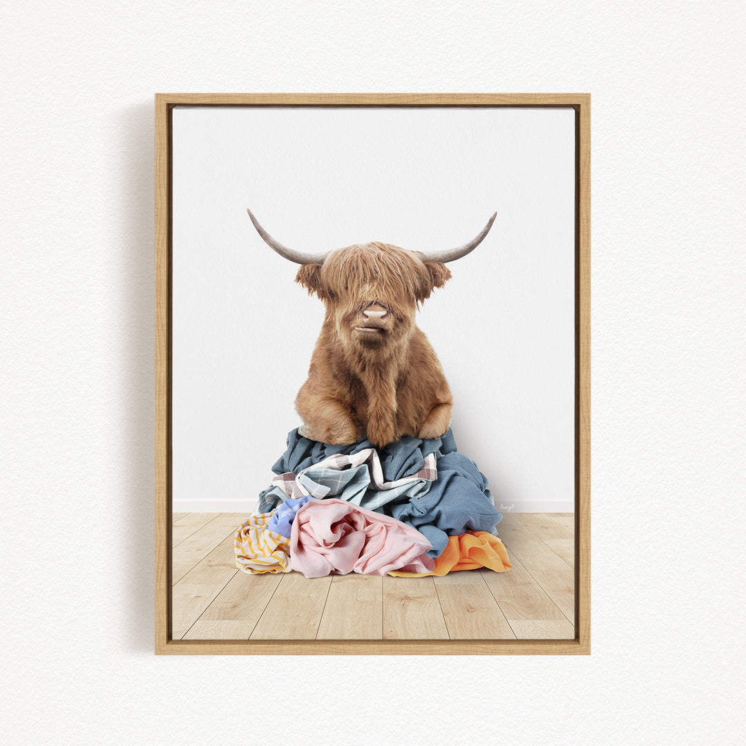 A Highland cow with long horns is sitting atop a pile of clothes on a wooden floor.