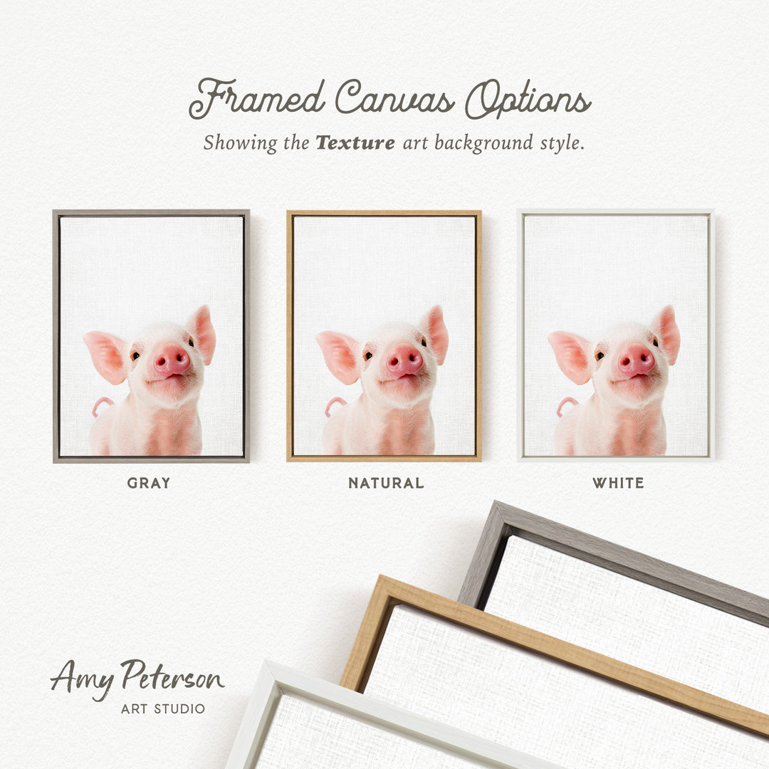 three framed canvas options, each with a different background color: gray, natural, and white. The text above the options reads " Framed Canvas Options" and "Showing the Texture art background style." The text below the options reads "Grays," "NATURAL," and "WHITE." The artist's name, Amy Peterson, is also mentioned at the bottom of the image.
