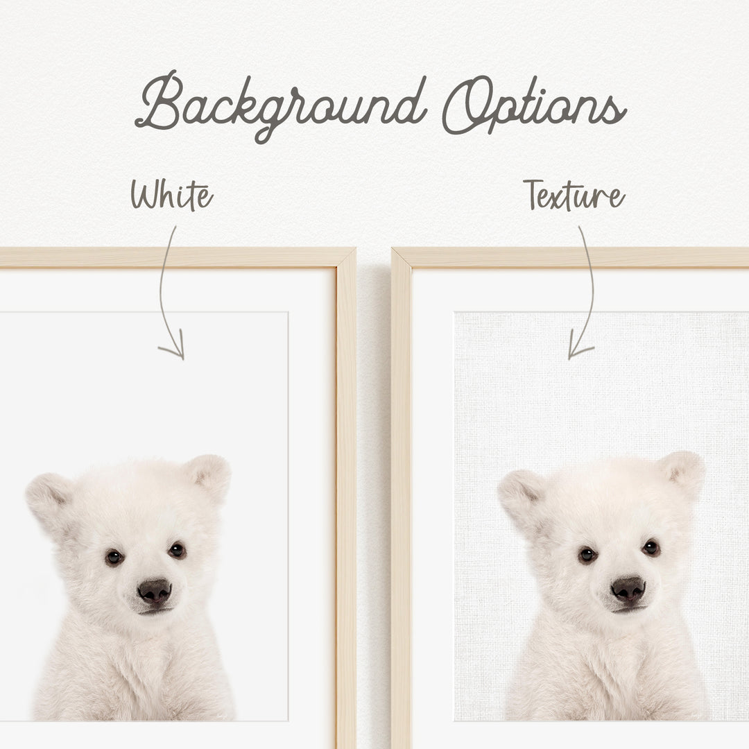 a cute white polar bear cub.