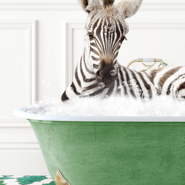 a zebra laying in a bath tub filled with bubbles