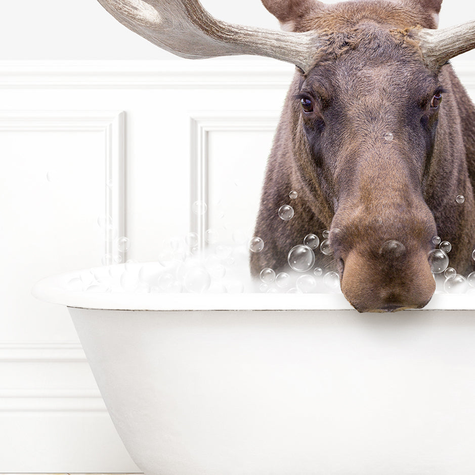 a moose is taking a bath in a bathtub