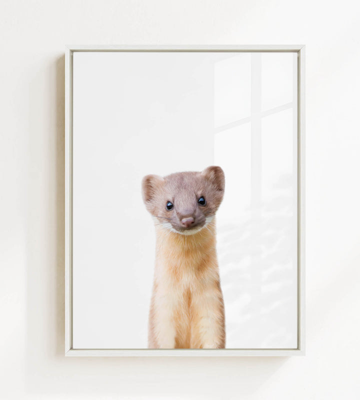 A small brown and white animal, possibly a rodent or a ferret, is standing upright and looking directly at the camera.