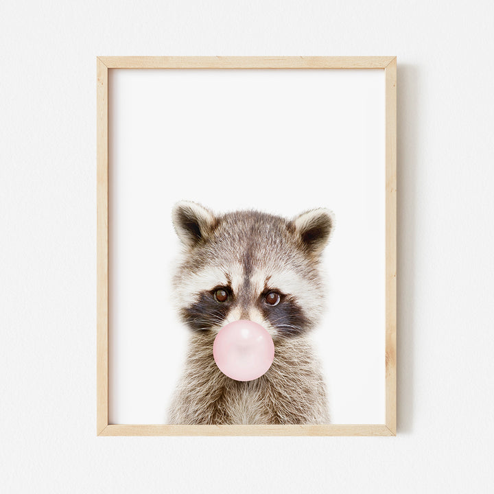 a picture of a raccoon blowing a bubble