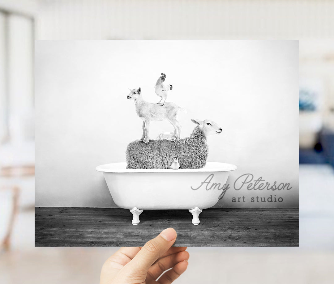 a person holding up a picture of a sheep in a bathtub