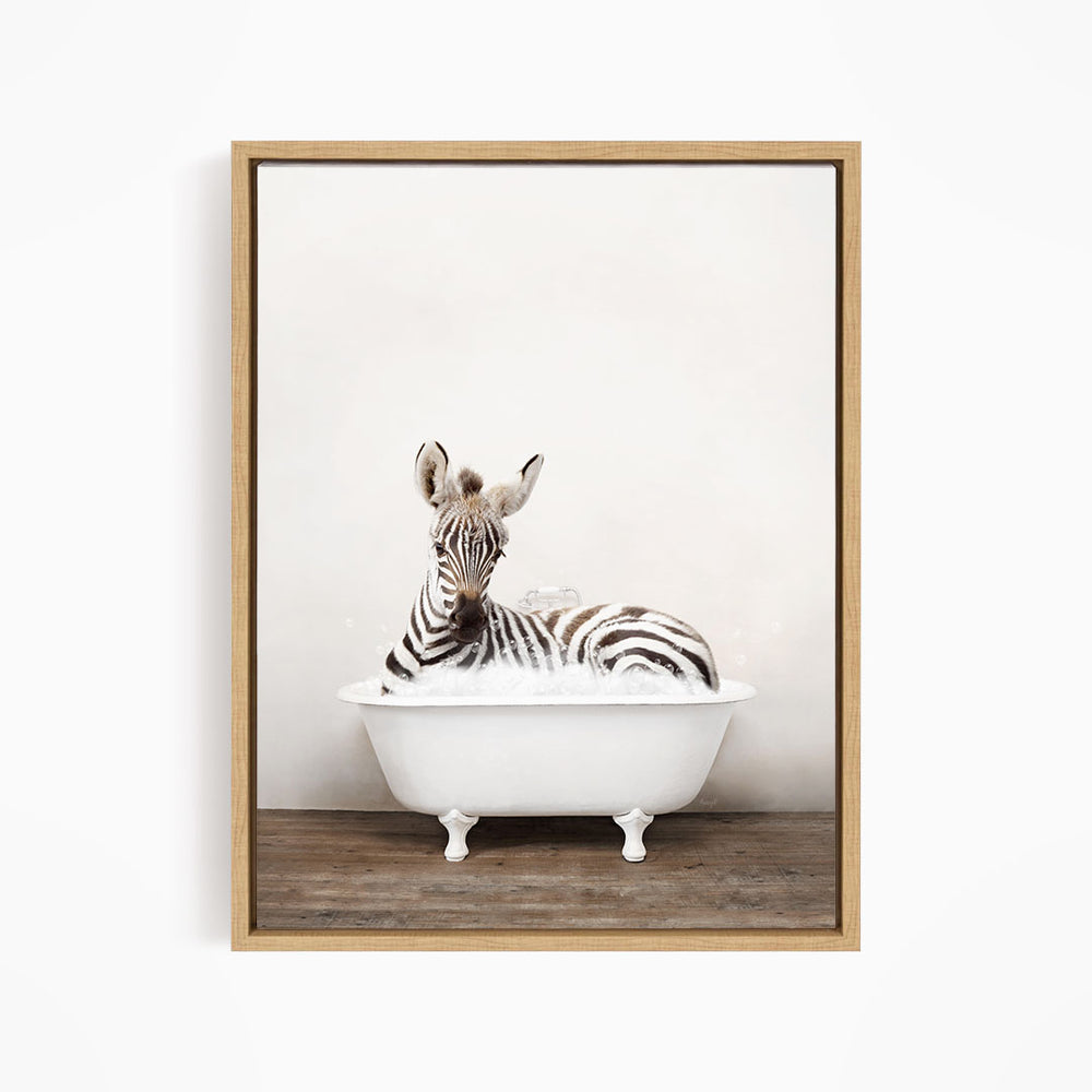 A zebra is sitting in a white bathtub, appearing relaxed and enjoying the bath.