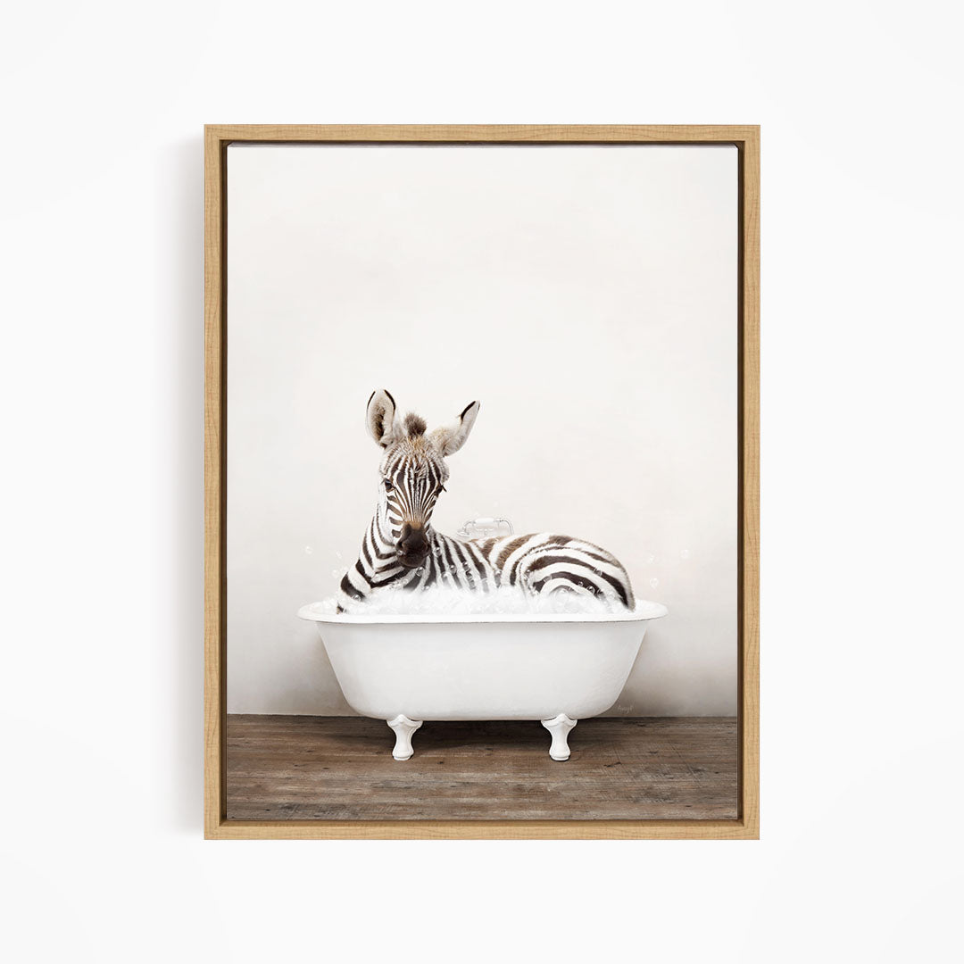 A zebra is sitting in a white bathtub, appearing relaxed and enjoying the bath.