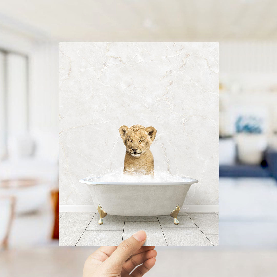 A hand holds up a framed image of a young lion cub sitting in a bathtub filled with water, looking at the camera.