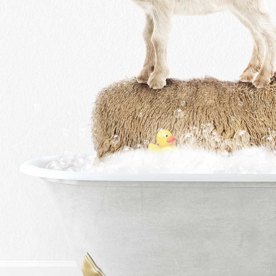 a small dog standing on top of a bath tub