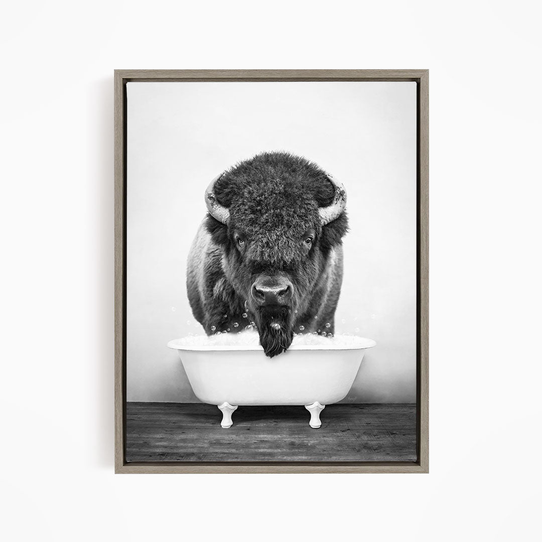 A black and white photograph of a buffalo standing in a bathtub, with its head and horns visible.