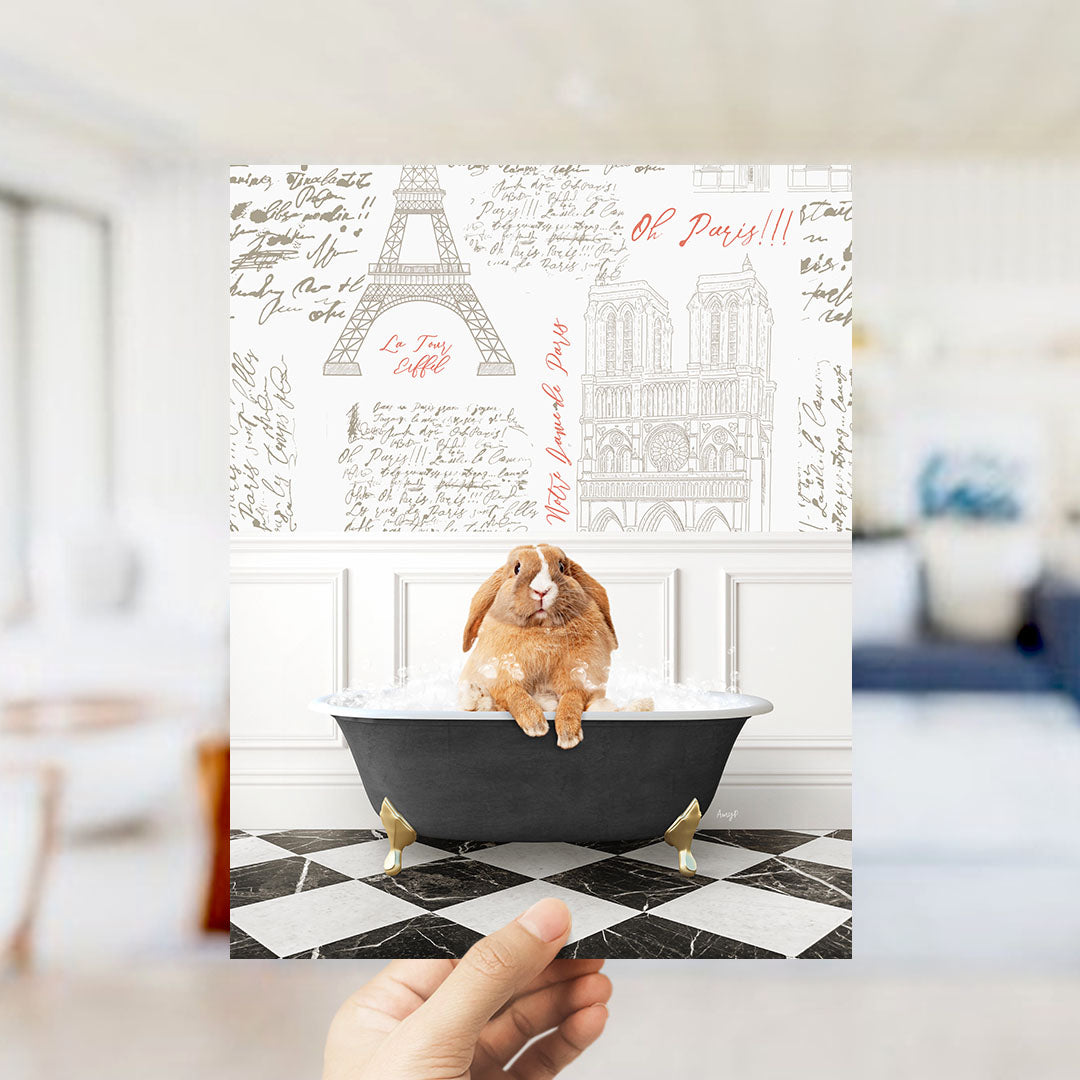 A hand holding a printed image of a brown rabbit sitting in a bathtub, with a Paris-themed background featuring the Eiffel Tower and other Parisian landmarks.