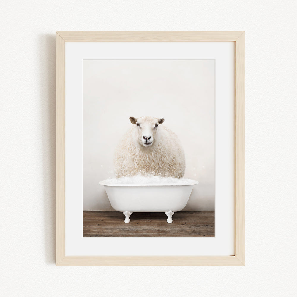 A fluffy white sheep sits in a white bathtub filled with bubbles, looking directly at the camera.