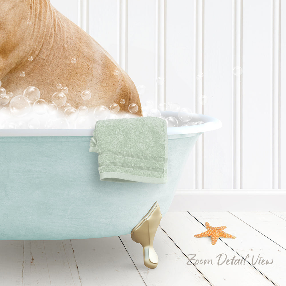 A light blue bathtub filled with bubbles, with a towel and starfish nearby, and a text overlay that reads "Zoom Detail View".