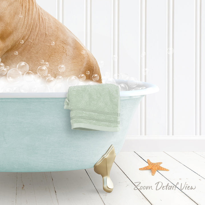 A light blue bathtub filled with bubbles, with a towel and starfish nearby, and a text overlay that reads "Zoom Detail View".