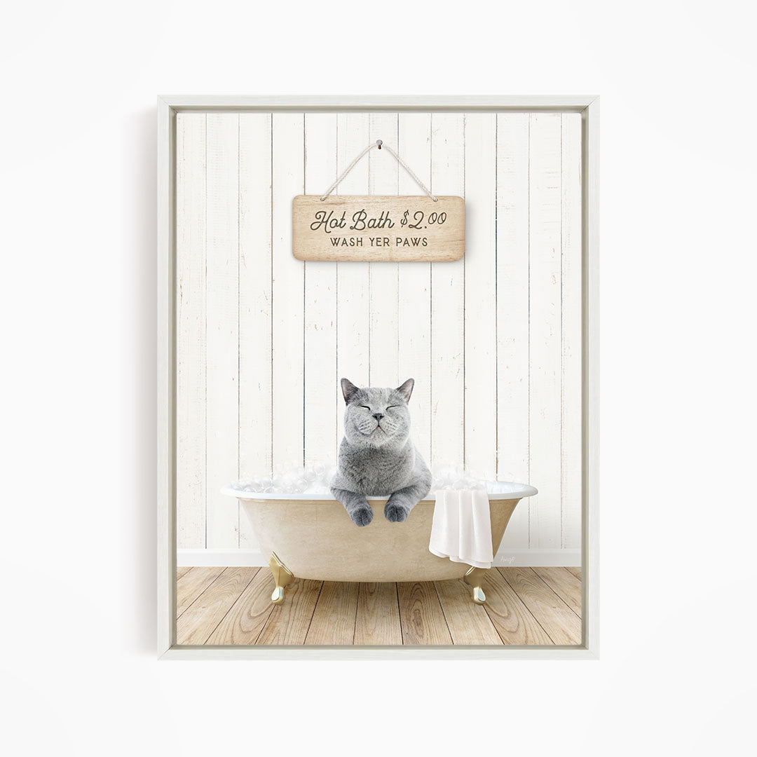 A gray cat sitting in a white bathtub, with a wooden sign above that reads "Hot Bath $2.00 WASH YER PAWS".