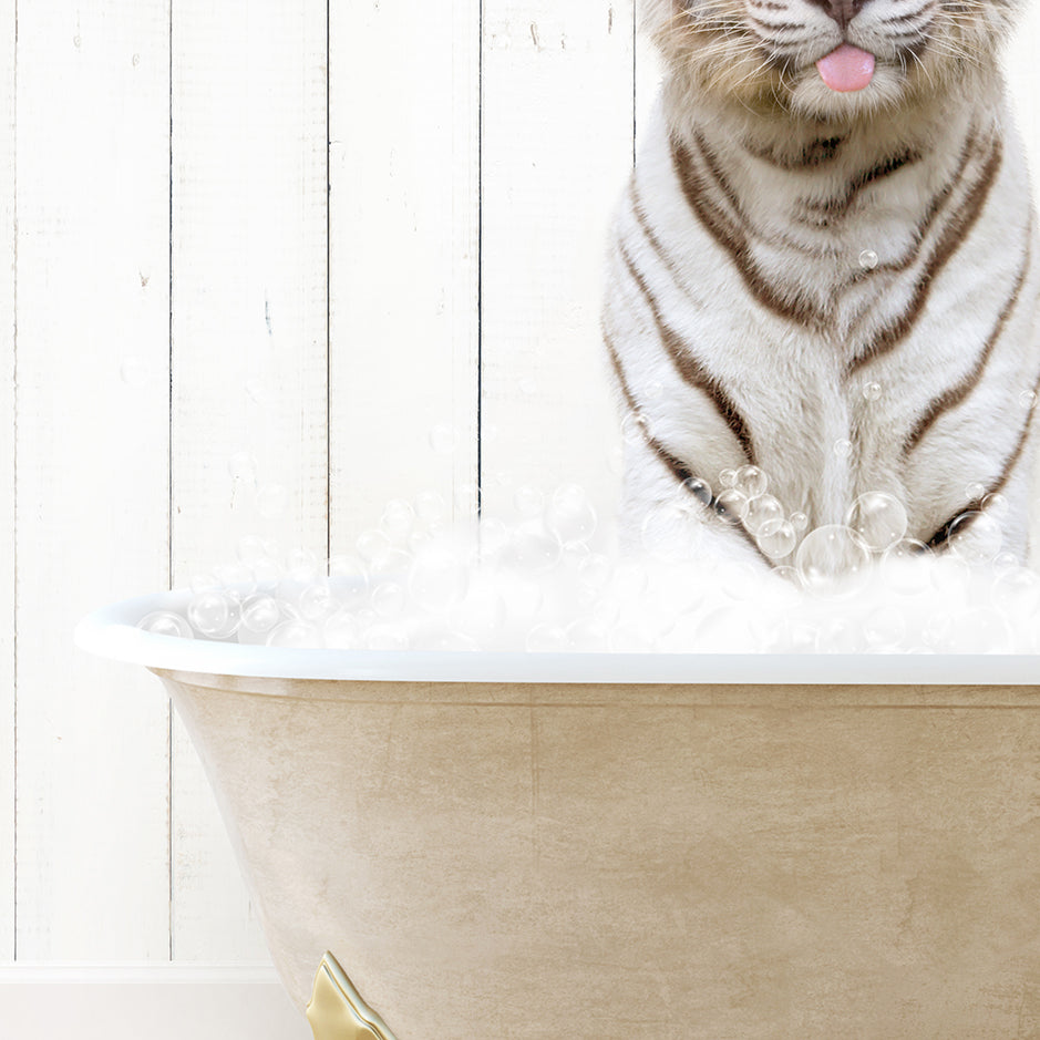 a white tiger sitting in a bathtub with foam