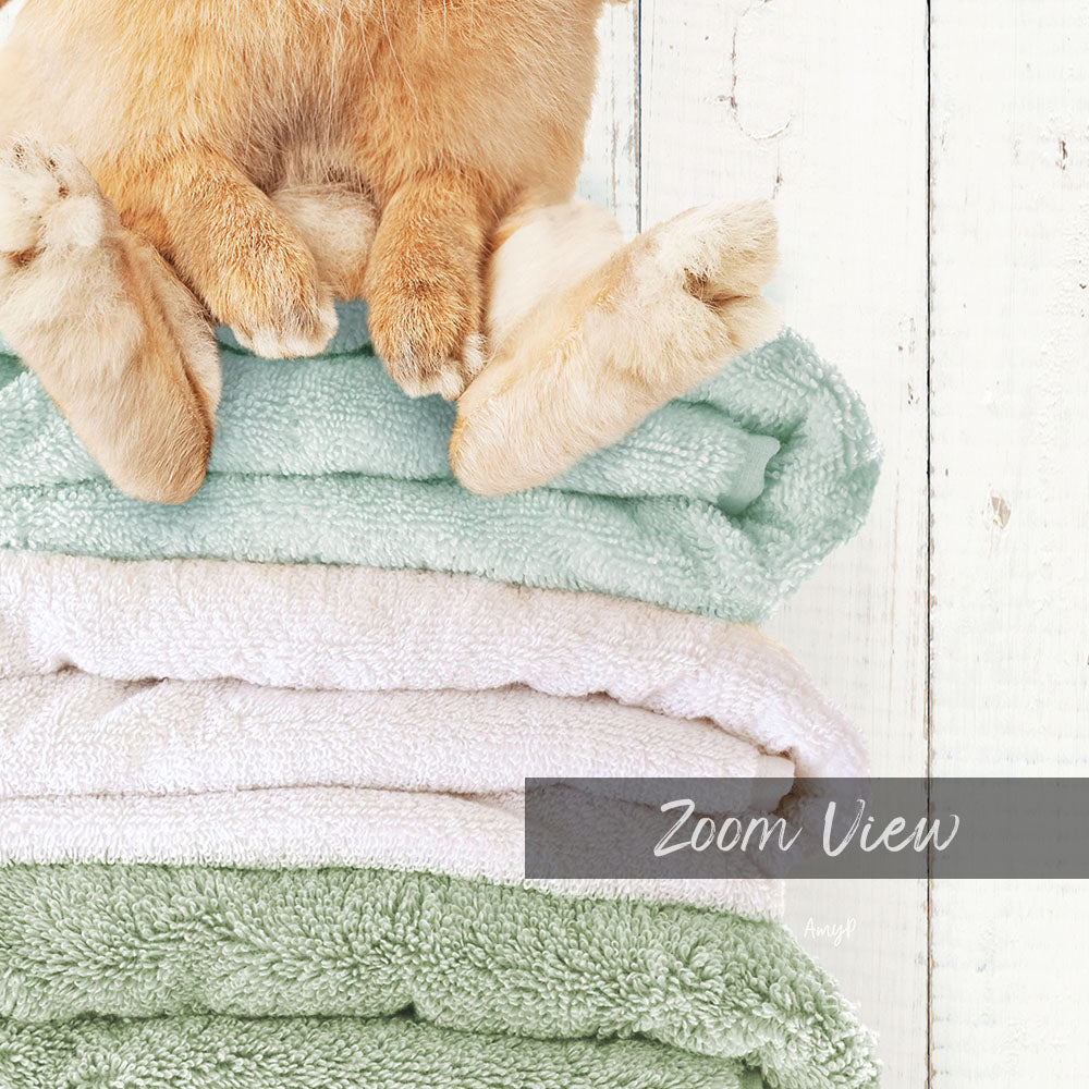 A fluffy orange cat is sitting on top of a stack of colorful towels, with the text "Zoom View" visible in the image.