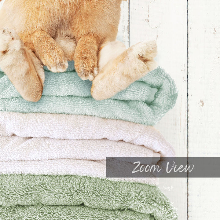A fluffy orange cat is sitting on top of a stack of colorful towels, with the text "Zoom View" visible in the image.