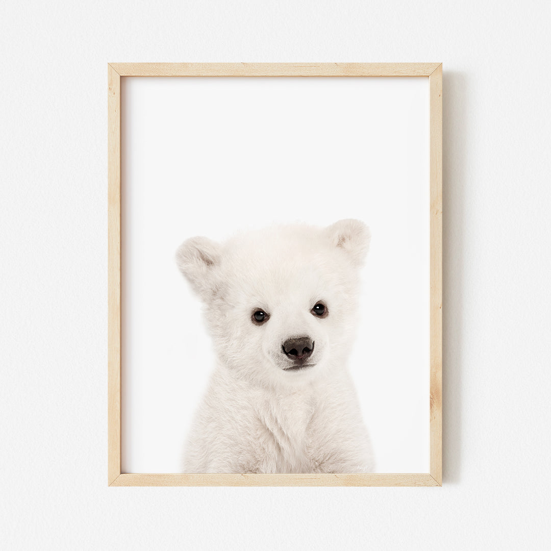 a white polar bear sitting in front of a white wall