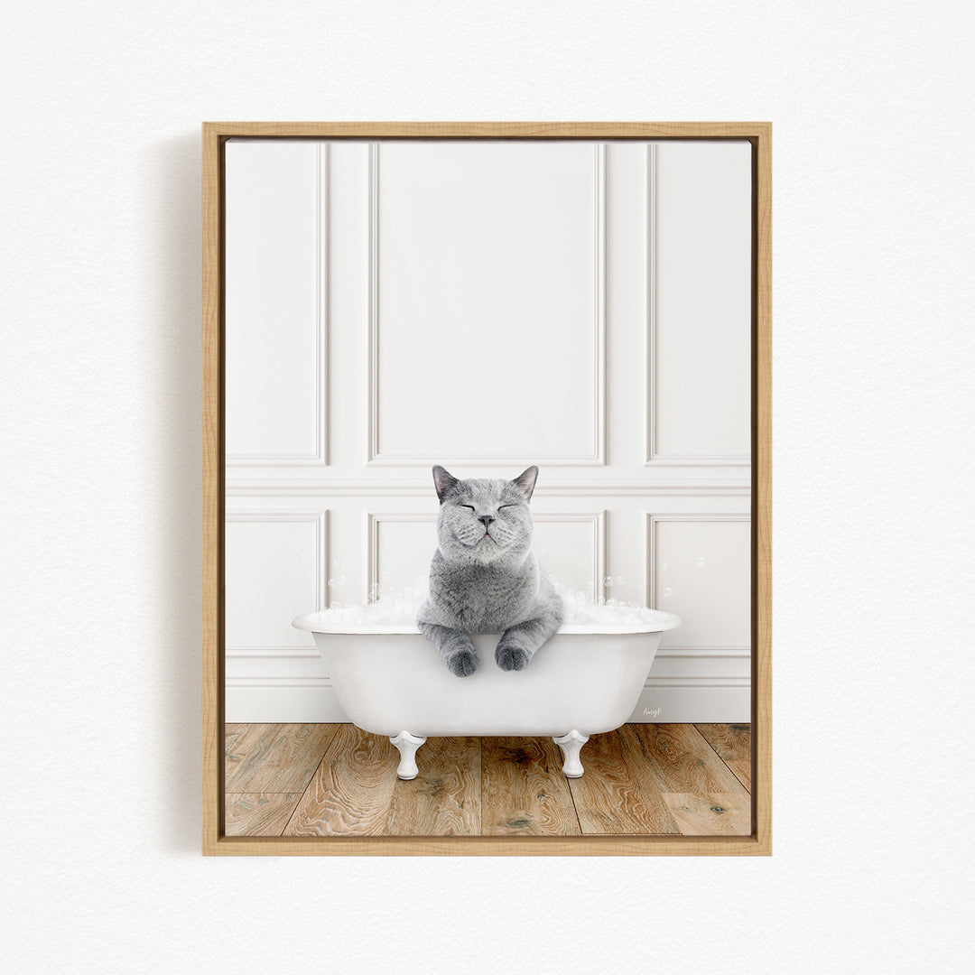 A gray cat sitting in a white bathtub, with a wooden floor and white paneled wall in the background.