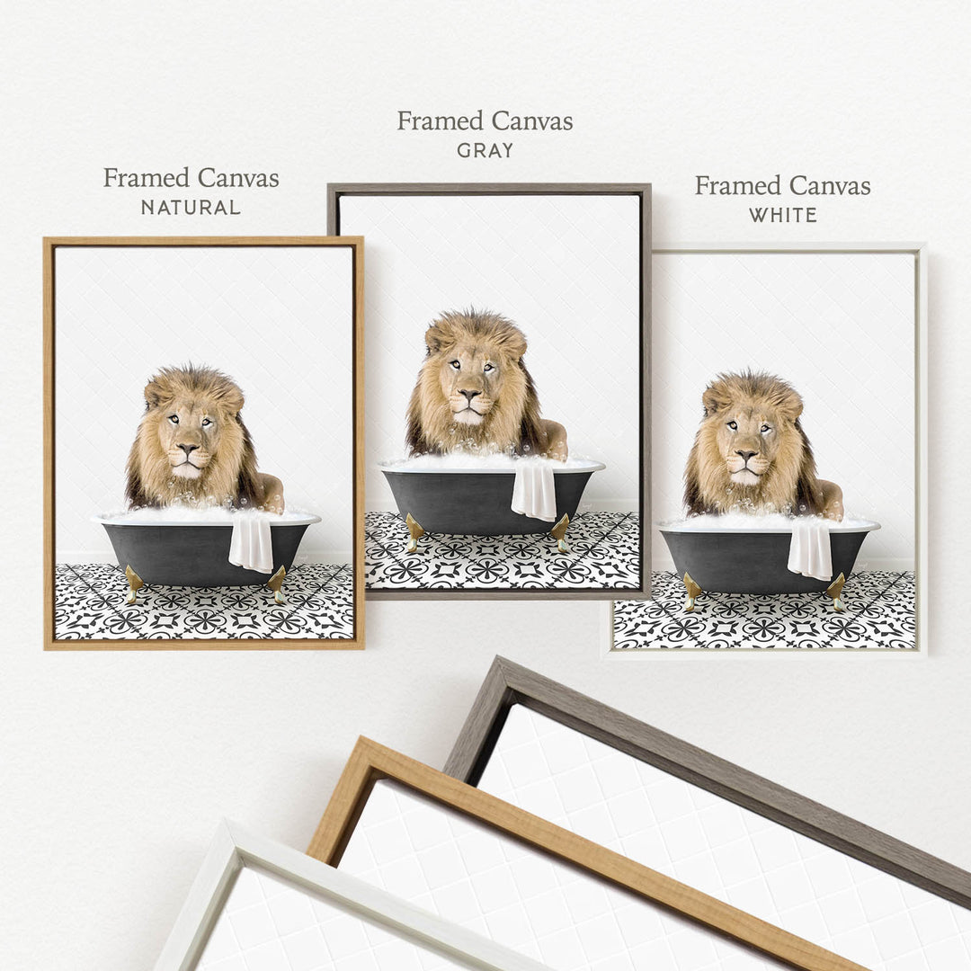 a framed picture of a lion sitting in a bathtub, with three different colored frames labeled " Framed Canvas Natural", " Framed Canvas Gray", and " Framed Canvas White".